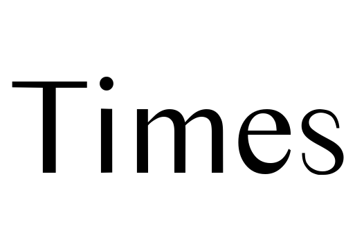 Times Sans Serif