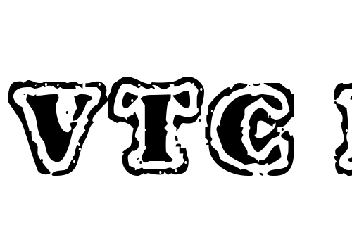 VTC FuzzyPunkySlippers